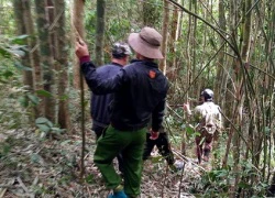 Thanh niên được tìm thấy sau 4 ngày đi lạc trong rừng