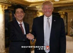 Thủ tướng Nhật Shinzo Abe 'tin tưởng' ông Donald Trump