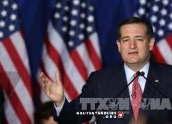 Thượng nghị sỹ Ted Cruz cảnh báo ông Trump về khả năng bạo loạn