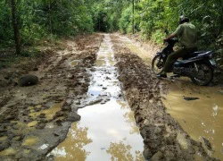 Tìm thấy nam thanh niên mất tích 4 ngày trong rừng sâu