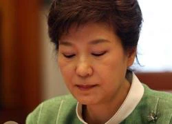 Tổng thống Hàn Quốc Park Geun hye chỉ định luật sư bào chữa