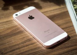 Tương lai mịt mù của iPhone SE