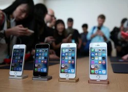 Vì sao Apple hủy kế hoạch ra mắt iPhone SE mới năm 2017?