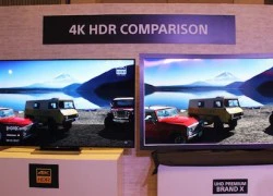 6 xu hướng TV được mong chờ tại CES 2017