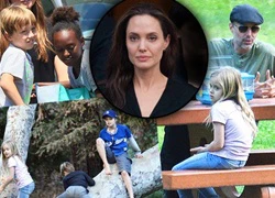 Angelina Jolie bị tố "quay lưng" với anh trai vốn là chỗ dựa sau cú sốc ly hôn