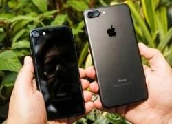 Apple bắt đầu giảm đơn đặt hàng iPhone 7