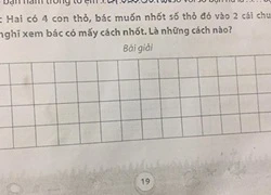 Bài toán tiểu học nhốt thỏ vào chuồng làm khó phụ huynh