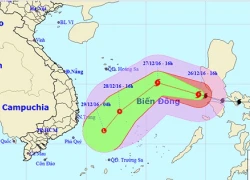 Bão cấp 12 trên biển Đông