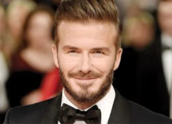 Becks &#8216;bỏ túi&#8217; 71.000 bảng mỗi ngày