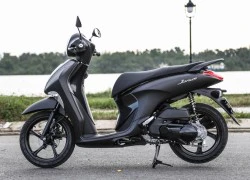 Chi tiết Yamaha Janus cao cấp nhất giá 31,5 triệu tại VN