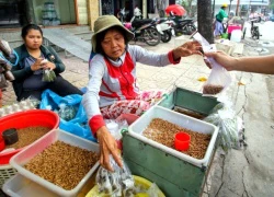 Chợ sâu bọ dành cho đàn ông nuôi chim ở Sài Gòn