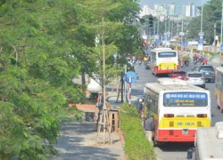 Dân vô tư "tè bậy" trên đường phố Hà Nội