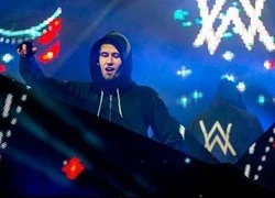 Đêm nhạc của Alan Walker tại TP.HCM liên tục gặp sự cố