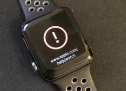 Đồng hồ Apple Watch thành 'cục gạch' sau khi nâng cấp phần mềm