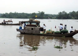 Ghe chìm trên sông Vàm Cỏ, hai mẹ con mất tích