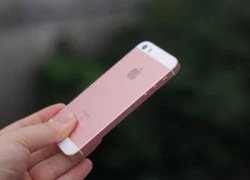 iPhone SE chính thức giảm giá 2 triệu đồng