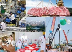 Kinh tế Việt Nam 2017: Sẽ có cơ hội giàu trước khi già?