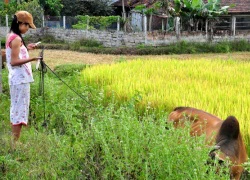 Làm rõ thông tin bé gái bị bắt cóc hụt khi đi chăn bò