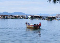 Làng bè ở Vũng Rô, nơi đàn ông là "chuyên gia" đi chợ