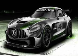 Mercedes-AMG khẳng định phát triển mẫu xe đua AMG GT4