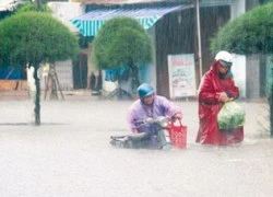 Mưa lũ Quảng Nam: Nhiều cái chết thương tâm