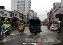 Mưa lũ , trên 1.300 hộ dân Thừa Thiên Huế bị ngập lụt