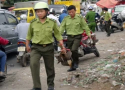 Người bán chim rừng ở Sài Gòn giật lại hàng từ kiểm lâm