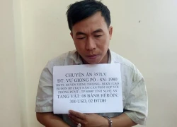 Người đàn ông Lào đưa 8 bánh heroin vào Nghệ An