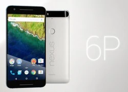 Người dùng Nexus 6P phàn nàn lỗi máy tắt đột ngột