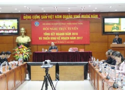 Những pha "lội ngược dòng" của ngành nông nghiệp năm 2016