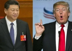 Phong cách đối lập Trump - Tập tạo sóng gió quan hệ Mỹ - Trung