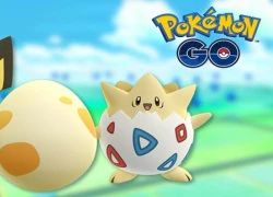 Pokemon GO - Top 5 Pokemon cực mạnh trong thế hệ 2, gặp phải bắt bằng được