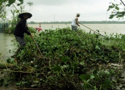 Tìm thấy thi thể cảnh sát mất tích trong lũ