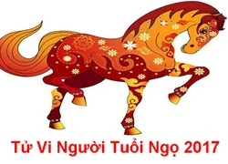 Tử vi tuổi Ngọ 2017: May mắn về tài chính, xứng đáng với danh hiệu 'sát thủ tình trường'