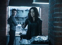 'Underworld 5' chỉ dành cho fan của ma cà rồng, người sói