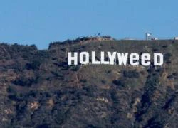 Biểu tượng Hollywood bị sửa thành Hollyweed