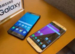 Galaxy S6, Note 5 sắp được lên Android 7.0