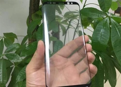 Galaxy S8 sẽ có hai kích thước màn hình