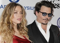 Hậu ly hôn, Amber Heard nhận 7 triệu USD cùng loạt thú cưng