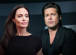 Jolie tố cáo Brad Pitt cố che đậy chuyện bạo hành con