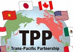 Mỹ rút khỏi TPP: ai thiệt nhất?