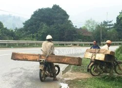 Ngang nhiên chở gỗ lậu &#8220;khủng&#8221; trên quốc lộ như chốn không người