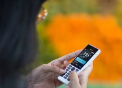 Nokia 150 về Việt Nam với giá 720.000 đồng