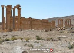 Phá hủy di tích cổ ở Palmyra, IS phạm 'tội ác chiến tranh'