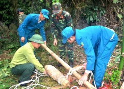 Phá hủy thành công quả bom đã được kích hoạt chế độ nổ