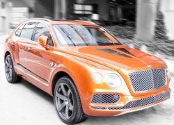 SUV mạnh nhất của Bentley độ công suất thêm gần 100 mã lực