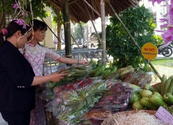 Tìm "đường sống" cho rau sạch Đà thành