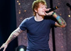 'Trai xấu' Ed Sheeran muốn vượt kỷ lục của Adele