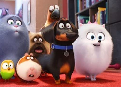 Universal ấn định lịch cho &#8216;Minions 2&#8242;, &#8216;Pets 2&#8242;, &#8216;Sing 2&#8242;