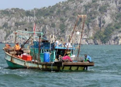 40 người xông vào trụ sở Công an xã giải cứu "nghêu tặc"